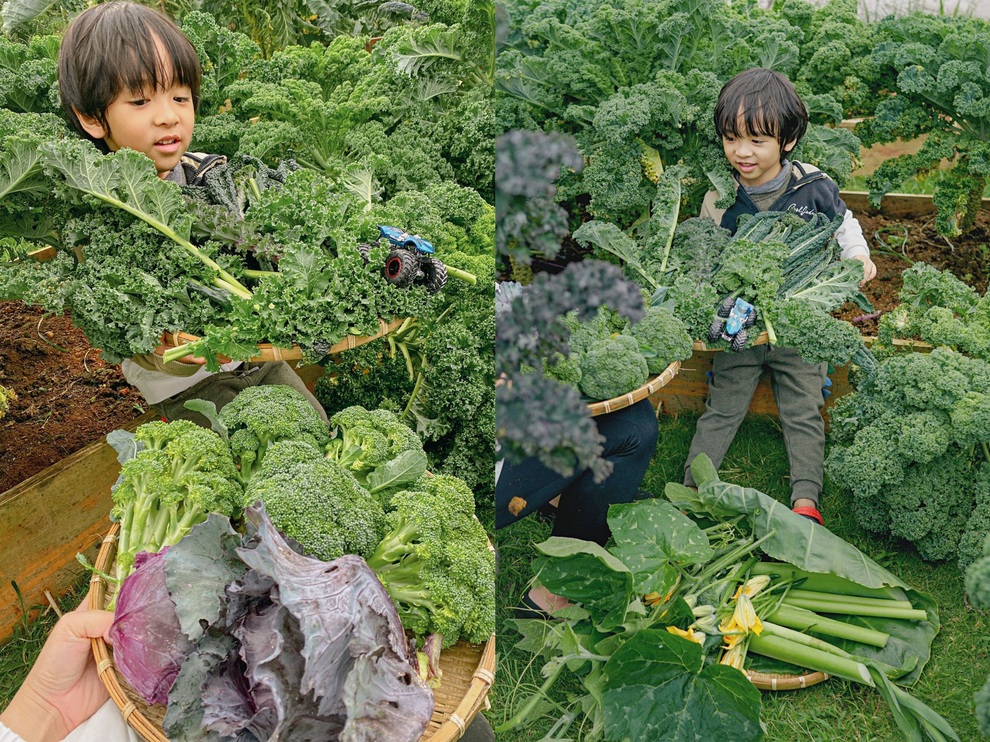 Gia đình Sài Gòn bỏ phố về rừng, biến đồi trọc thành trang trại trong mơ - 7