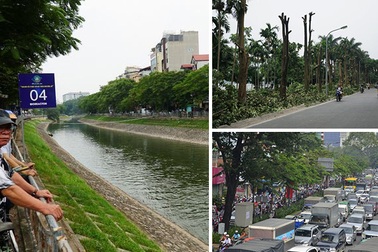 Hoa sữa khử mùi rác Nam Sơn (!?)