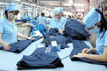 Hà Nội: Đề nghị công an xác minh 11 doanh nghiệp nợ BHXH