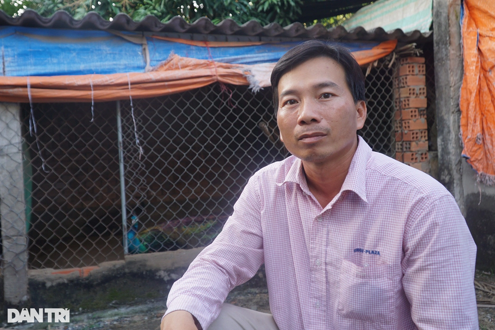 Nuôi công như... gà, anh nông dân miền Tây lãi khủng - 4 Nuôi công như... gà, anh nông dân miền Tây lãi khủng - 4