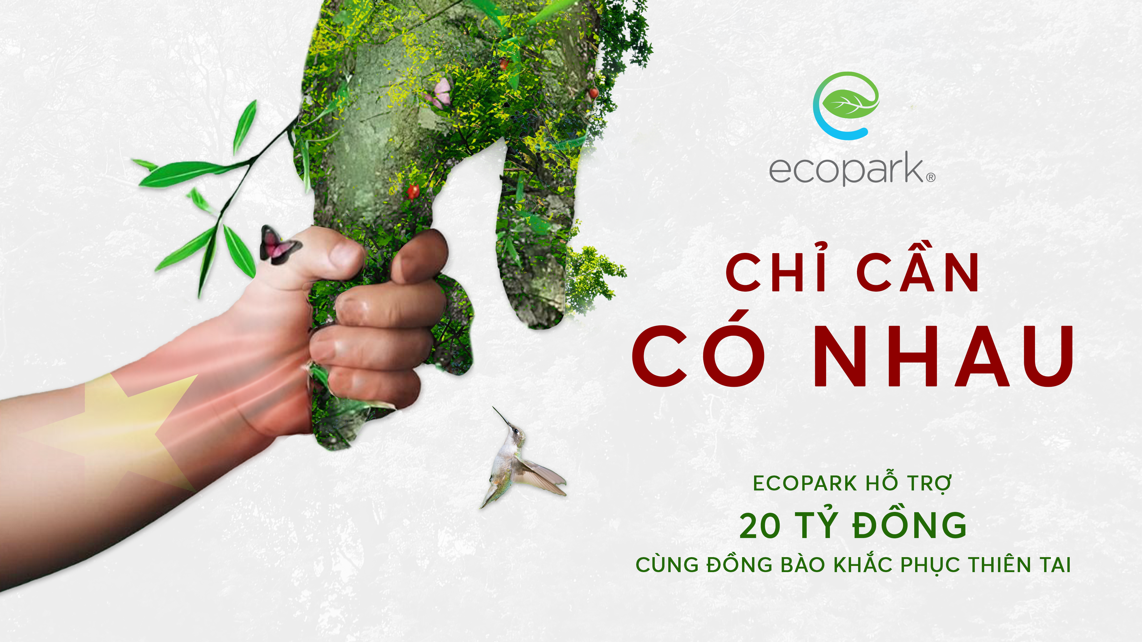 Ecopark founder donates 20 billion VND to people in flood-affected areas - 1 Nhà sáng lập Ecopark ủng hộ 20 tỷ đồng cho đồng bào vùng bão lũ - 1