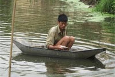 Cá chết hàng loạt do ô nhiễm môi trường nước