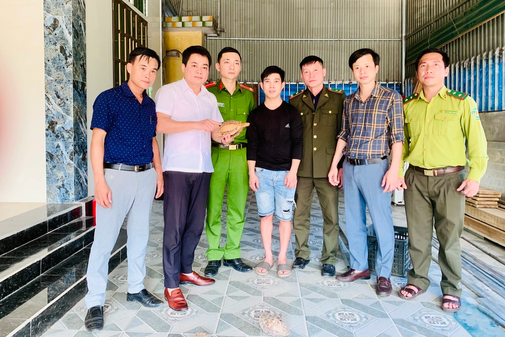 Người đàn ông phát hiện 6 cá thể rùa quý hiếm trong lúc đi hái lá dong - 2 Người đàn ông phát hiện 6 cá thể rùa quý hiếm trong lúc đi hái lá dong - 2