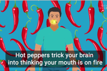 Điều gì xảy ra với bộ não và cơ thể khi bạn ăn cay?