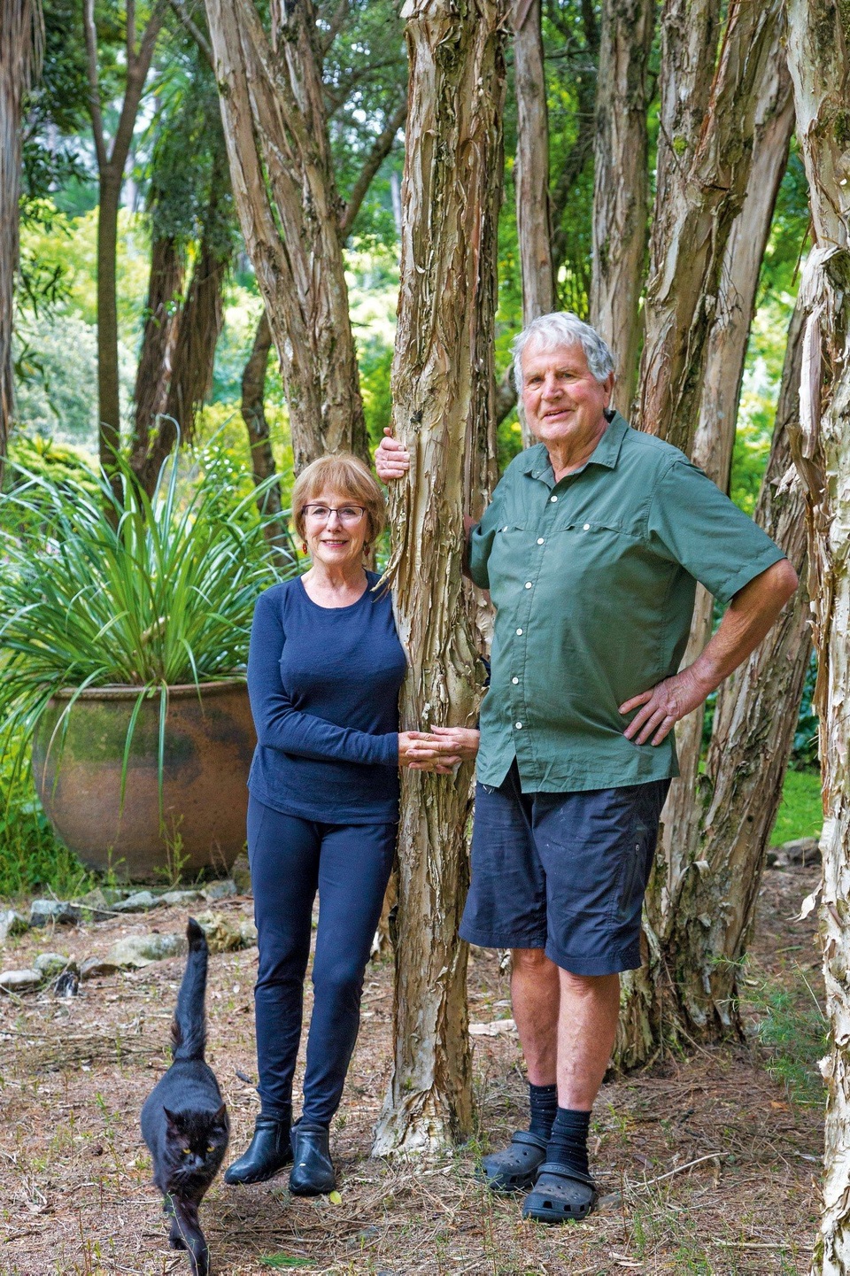 Biến chỗ nuôi gà cũ nát thành thiên đường xanh mát hút các loài chim - 1