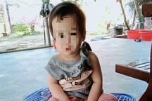 Phát triển công tác xã hội hỗ trợ trẻ em có hoàn cảnh đặc biệt