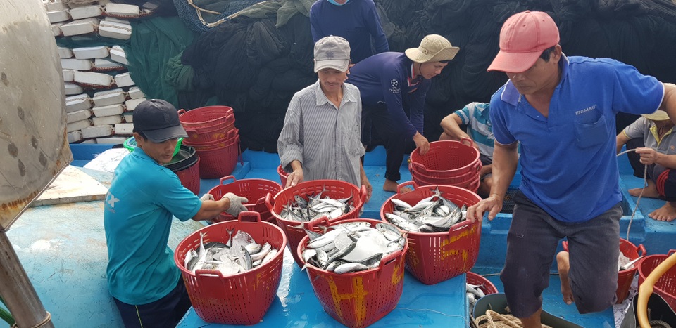 Quảng Trị: Ngư dân thu gần trăm triệu đồng nhờ trúng “lộc biển” đầu năm - 10 Quảng Trị: Ngư dân thu gần trăm triệu đồng nhờ trúng “lộc biển” đầu năm - 10