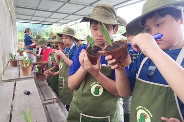 Chương trình hè bổ ích và thú vị tại Trường Quốc tế BVIS