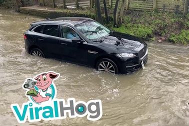 Phi qua vùng nước ngập, chiếc SUV hạng sang nhận "án tử"