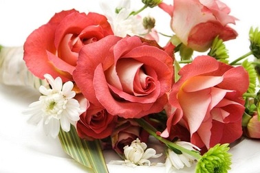 Những lời chúc ngày Phụ nữ Việt Nam 20/10 ý nghĩa nhất