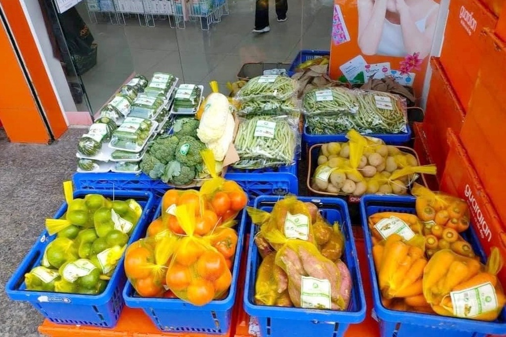 TPHCM: Rau củ giá bình ổn 20.000 đồng/kg, trứng 25.000 đồng/vỉ xuống phố - 3 TPHCM: Rau củ giá bình ổn 20.000 đồng/kg, trứng 25.000 đồng/vỉ xuống phố - 3