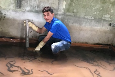 Nuôi lươn đồng không dùng bùn, chàng trai trẻ thu hàng trăm triệu/năm