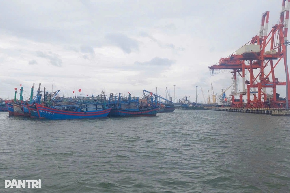 Các tỉnh, thành miền Trung sẵn sàng ứng phó bão số 12 và mưa lớn - 5 Các tỉnh, thành miền Trung sẵn sàng ứng phó bão số 12 và mưa lớn - 5