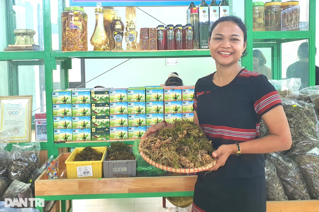 Chợ sâm Ngọc Linh: Nơi đổ tiền mua 