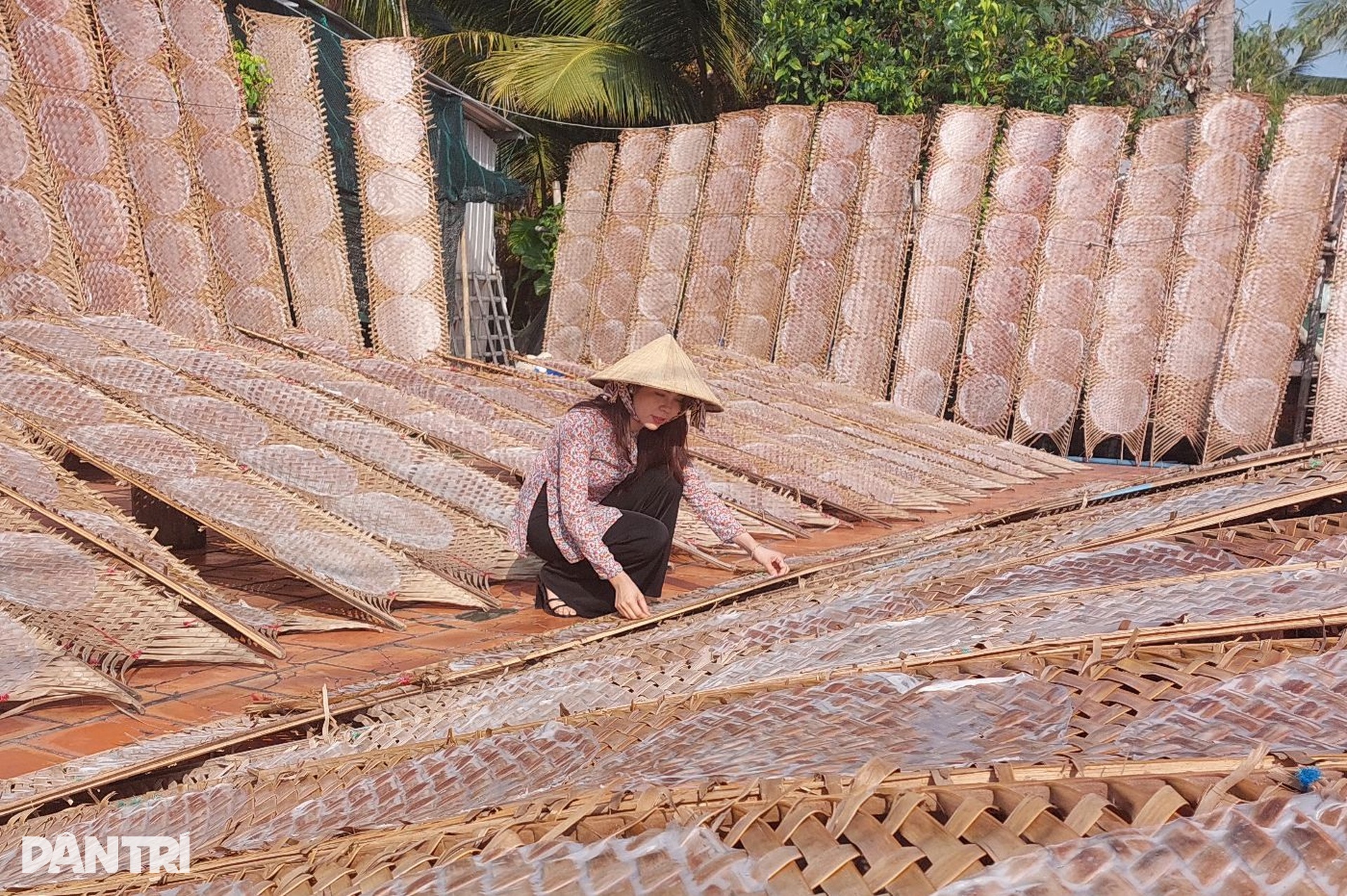 Làng nghề bánh tráng 100 tuổi tất bật những ngày giáp Tết - 1 Làng nghề bánh tráng 100 tuổi tất bật những ngày giáp Tết - 1