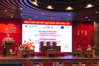 Nhận thức để chấm dứt bạo lực đối với phụ nữ và trẻ em gái