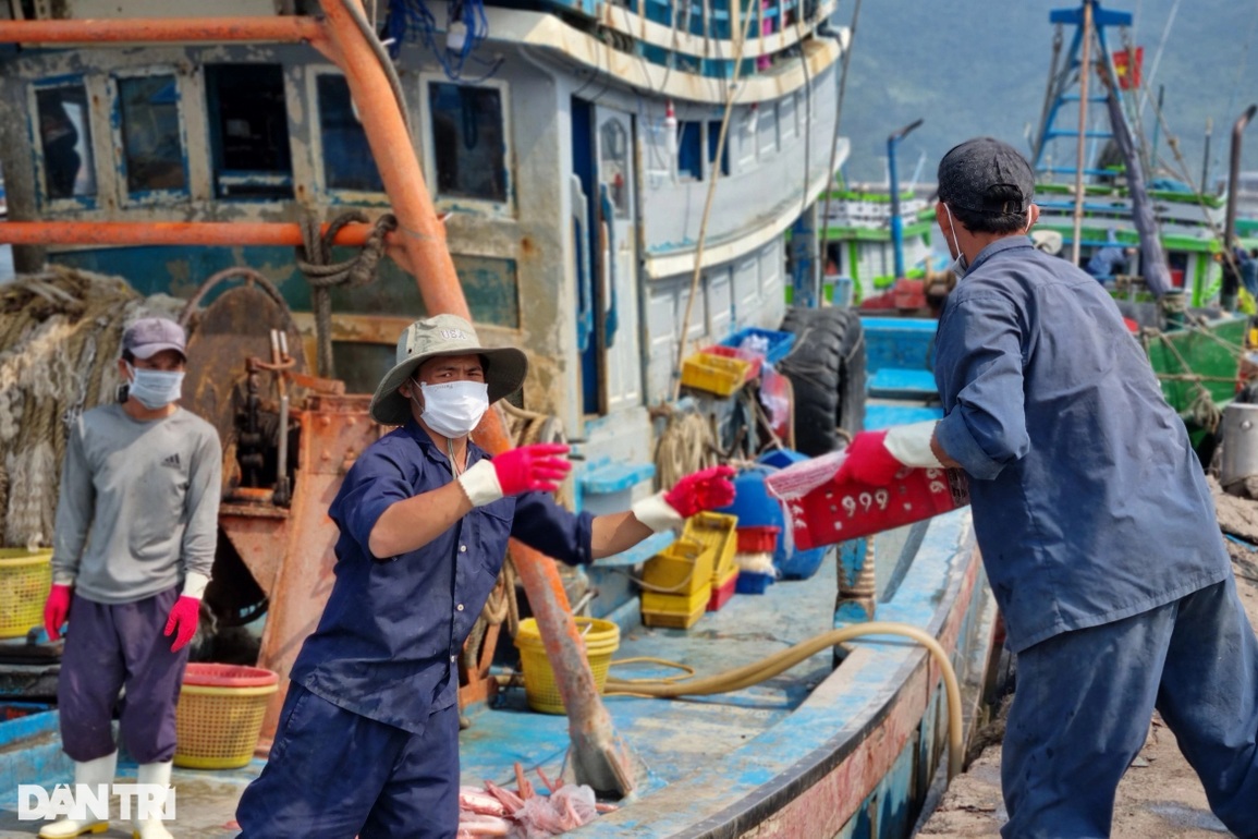 Xăng dầu tăng phi mã, ngư dân Đà Nẵng gác thuyền nằm bờ - 3 Xăng dầu tăng phi mã, ngư dân Đà Nẵng gác thuyền nằm bờ - 3