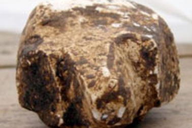 Phát hiện đồ chơi thời cổ đại 