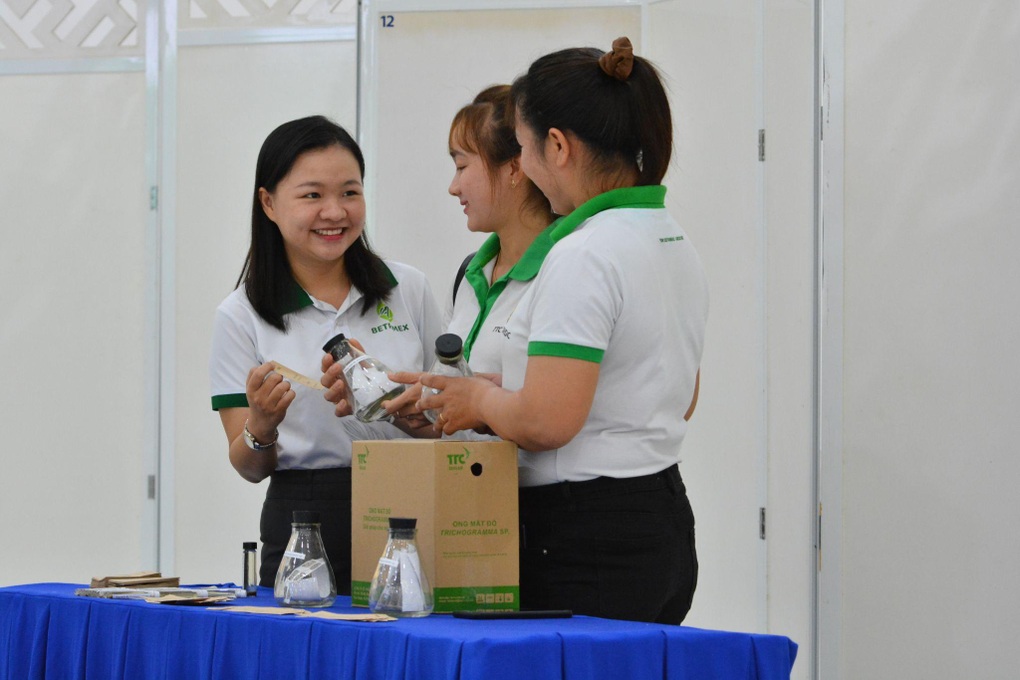 Gần 60 triệu chiến binh ong mắt đỏ phòng trị sâu đầu đen - 3 Gần 60 triệu chiến binh ong mắt đỏ phòng trị sâu đầu đen - 3
