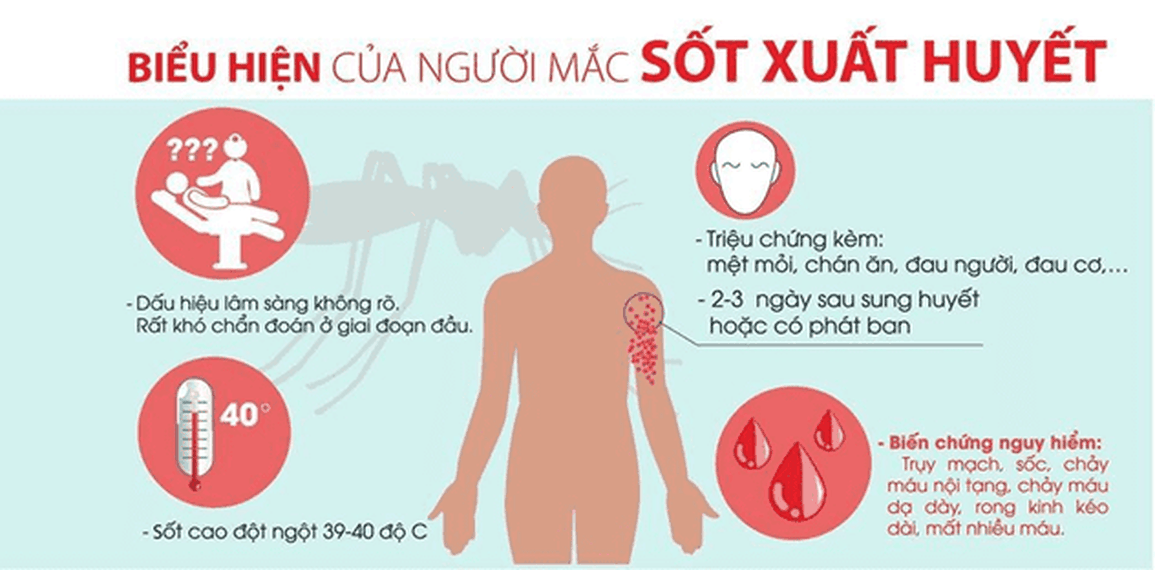 Số mắc sốt xuất huyết tiếp tục tăng cao, 22 người đã tử vong - 1 Số mắc sốt xuất huyết tiếp tục tăng cao, 22 người đã tử vong - 1