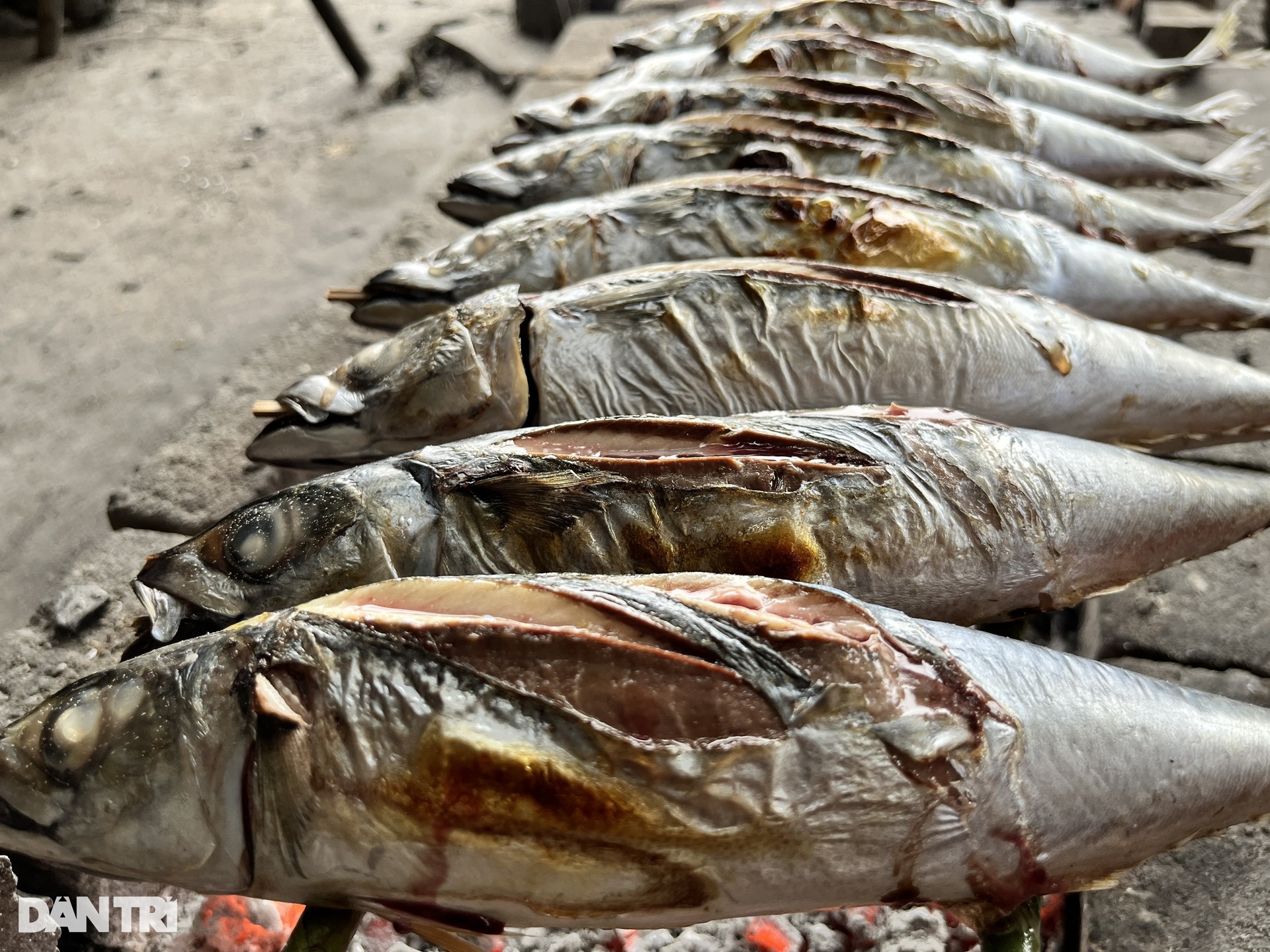 Làng đỏ lửa suốt ngày đêm nướng đủ loại cá, cày vụ Tết - 9 Làng đỏ lửa suốt ngày đêm nướng đủ loại cá, cày vụ Tết - 9
