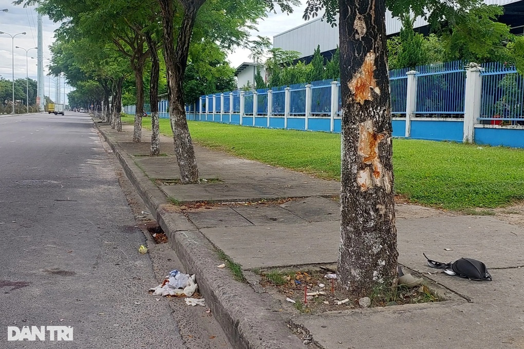 Đâm vào gốc cây, 3 thiếu nữ tử vong thương tâm - 1 Đâm vào gốc cây, 3 thiếu nữ tử vong thương tâm - 1