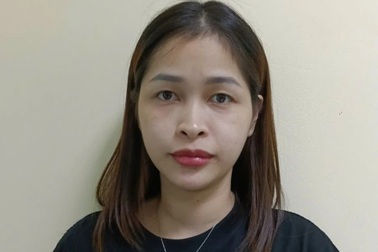 Người phụ nữ Hải Phòng lừa “chạy án” cho một lao động bị bắt tại Nhật Bản