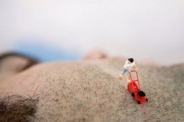 Thú vị bộ ảnh “thế giới tí hon” của nghệ sĩ người Pháp