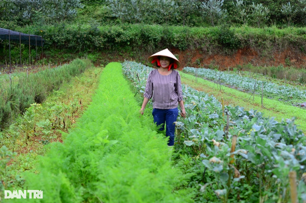 Người phụ nữ suýt đổ vỡ hôn nhân vì... mải lo trồng rau - 1