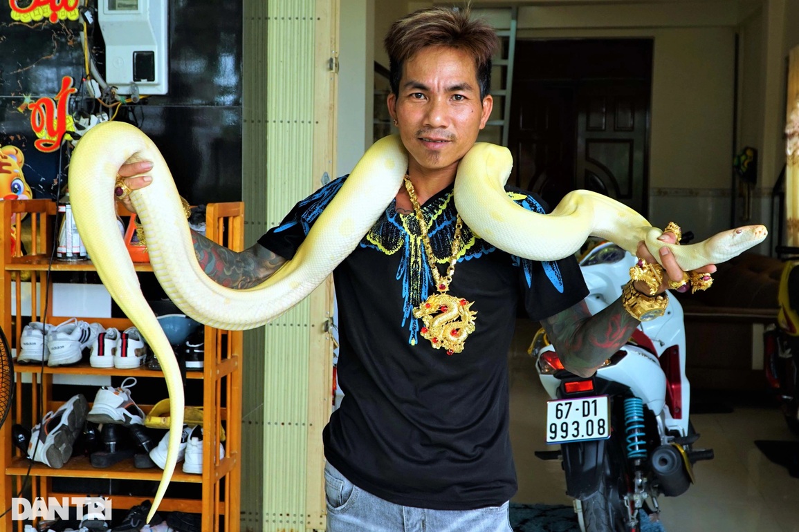 Đại gia đeo 50 lượng vàng: Phát tài nhờ nuôi tiểu khủng long - 6 Đại gia đeo 50 lượng vàng: Phát tài nhờ nuôi tiểu khủng long - 6