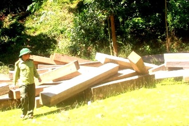 Khởi tố vụ phá rừng phòng hộ Sông Tranh