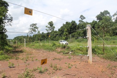 Chuyển giao hàng rào điện bảo vệ voi cho các chủ rừng