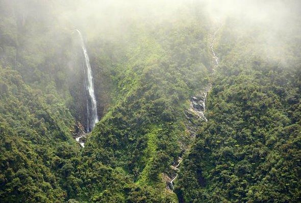 Khu rừng mây bí ẩn của Bolivia hé lộ hơn 20 loài chưa từng được biết đến - 1 Khu rừng mây bí ẩn của Bolivia hé lộ hơn 20 loài chưa từng được biết đến - 1