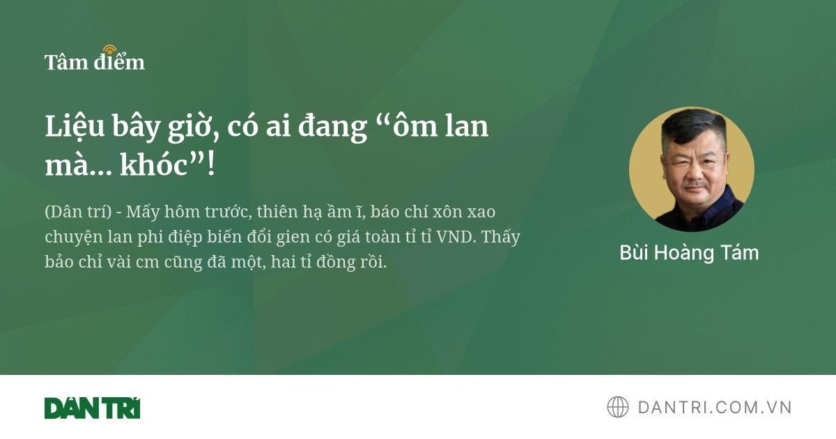 dantri.com.vn