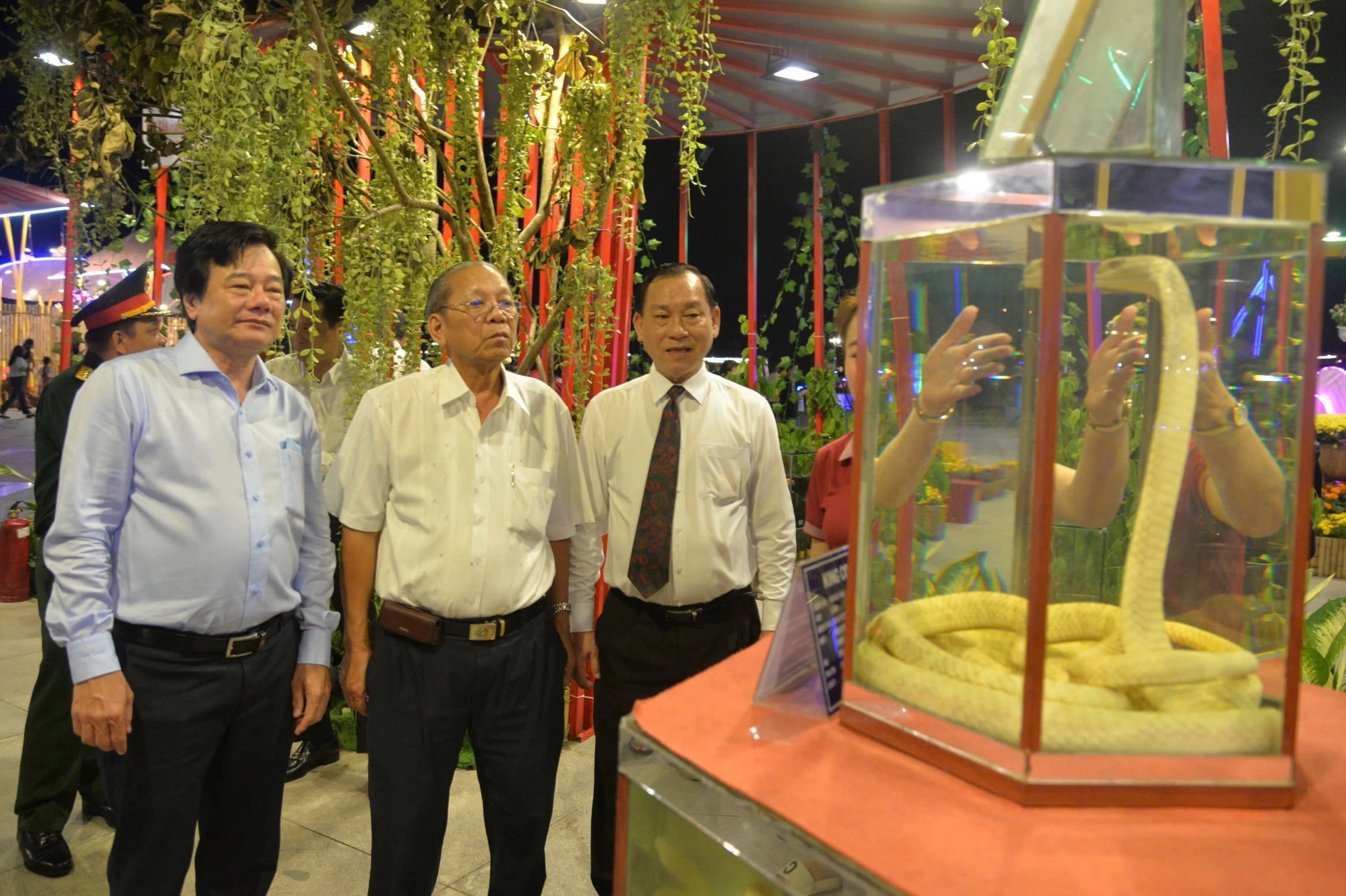 منحصر به فرد در غرب: نمایش شاه کبراهای واقعی و مارهای دریایی نواری برای بازدیدکنندگان - 1 Độc nhất miền Tây: Trưng rắn hổ chúa, cạp nong thật cho khách ngắm - 1