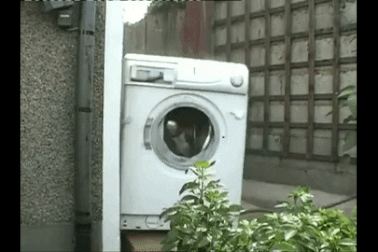 Máy giặt rung lắc dữ dội, chủ nhà đăng đàn hỏi dân mạng mới "vỡ lẽ" vì sao