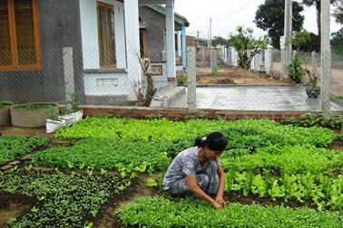 Xóm Trường đã ấm lên trong mùa xuân mới