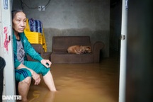 Lũ chồng lũ, người dân Đà Nẵng tất tả sơ tán