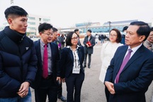 Chính sách mới về đào tạo lao động Việt sang Hàn Quốc làm việc