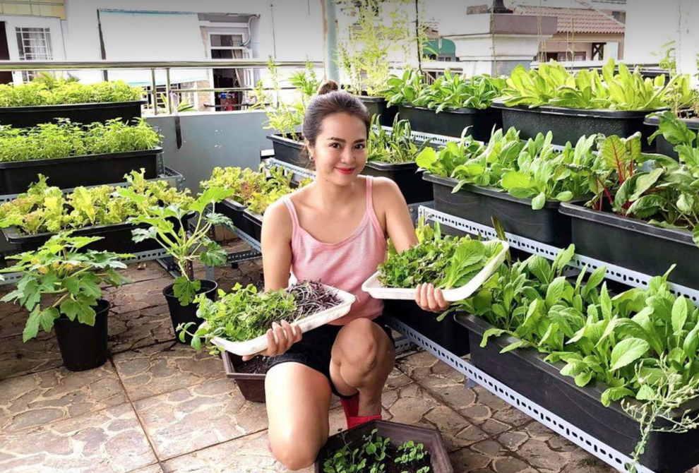 Người phụ nữ ở TPHCM trồng rau xanh cung cấp cho cả nhà trong mùa dịch - 1 Người phụ nữ ở TPHCM trồng rau xanh cung cấp cho cả nhà trong mùa dịch - 1