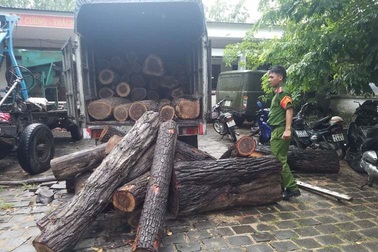 Lạ kỳ hàng loạt xe gỗ lậu ngang nhiên chạy rầm rầm qua chốt kiểm lâm!