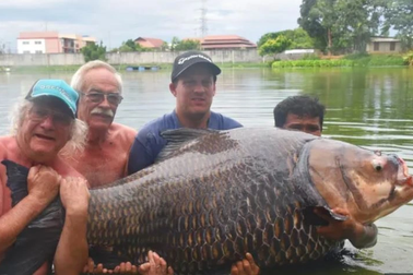 Bắt được cá chép "khủng" 114kg khi đang đi du lịch ở Thái Lan