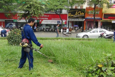 Hà Nội ấn định cụ thể số lần cắt cỏ, tưới nước cho cỏ...