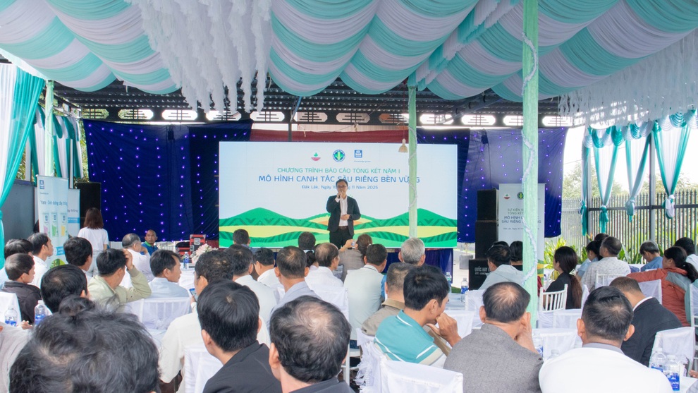 Nhà nông gặt hái thành quả vụ sầu riêng bền vững qua mô hình hợp tác ba bên - 4