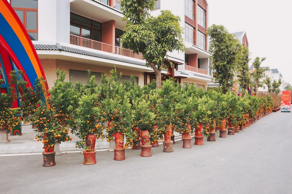 Chợ Tết phố hội đi vào hoạt động tại phía Đông Thủ đô - 2 Chợ Tết phố hội đi vào hoạt động tại phía Đông Thủ đô - 2