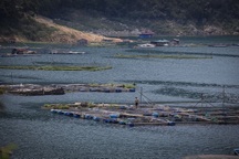 Thực hiện Chương trình MTQG phát triển KT-XH vùng cao Đà Bắc