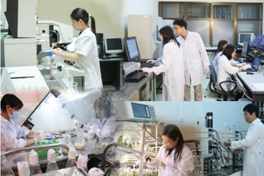 Tăng cường đào tạo nhân lực nòng cốt phát triển KHCN