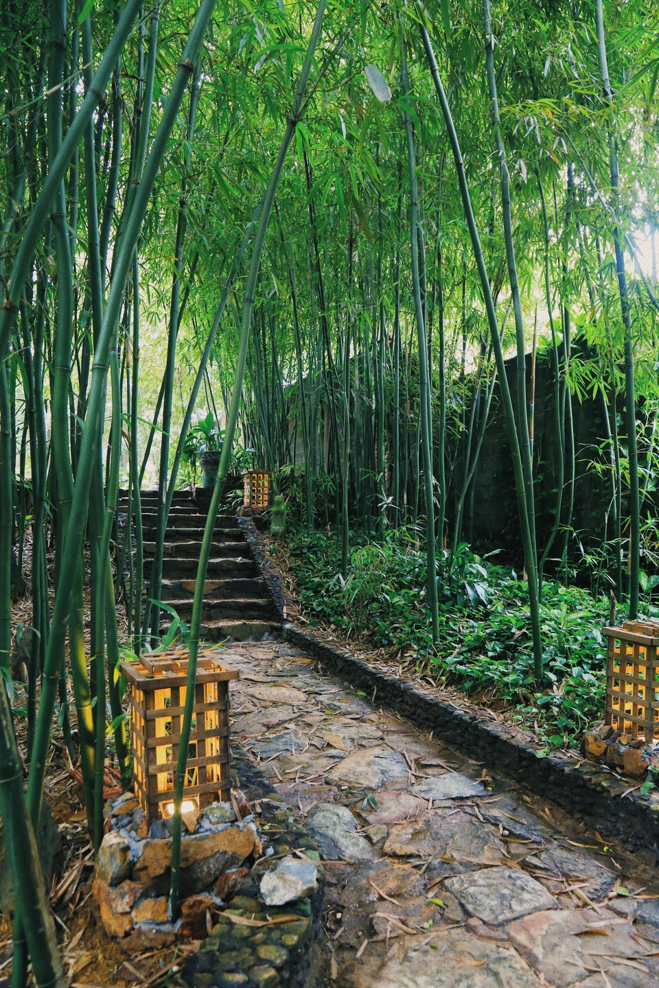 Ngôi nhà trong mơ trên đỉnh núi gần Hà Nội: Cá đầy ao, vườn đầy hoa trái - 2 Ngôi nhà trong mơ trên đỉnh núi gần Hà Nội: Cá đầy ao, vườn đầy hoa trái - 2
