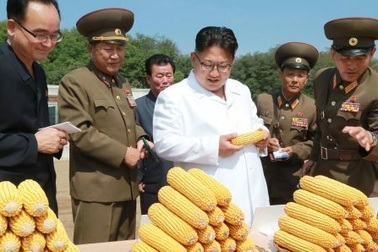 Triều Tiên lập các công ty để mời gọi vốn nước ngoài