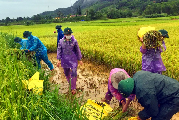 Thừa Thiên Huế: Nhiều người bị nước lũ cô lập, mất liên lạc trong rừng sau bão số 5 - Ảnh 3.